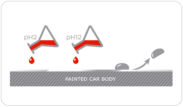 illustration2.jpg